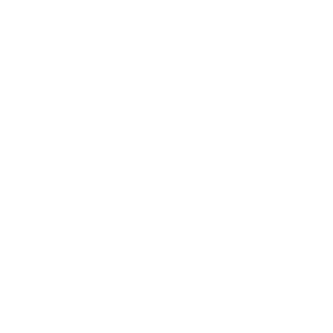 graphs icon