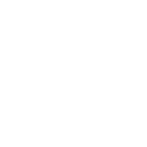 scan data icon