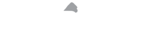 Silverback logo